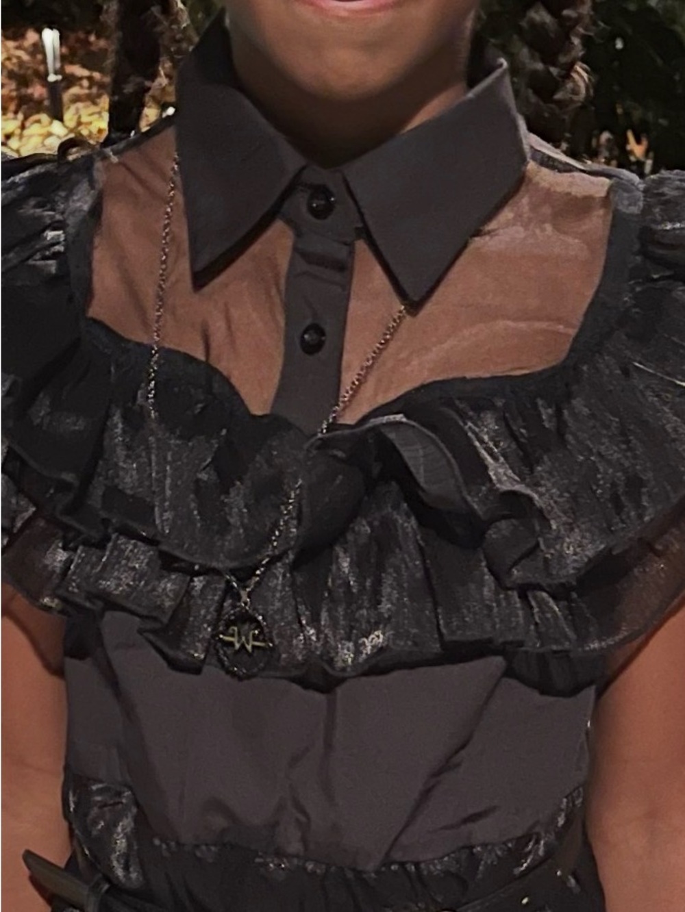 Sheer Ruffled Black Collared Dress